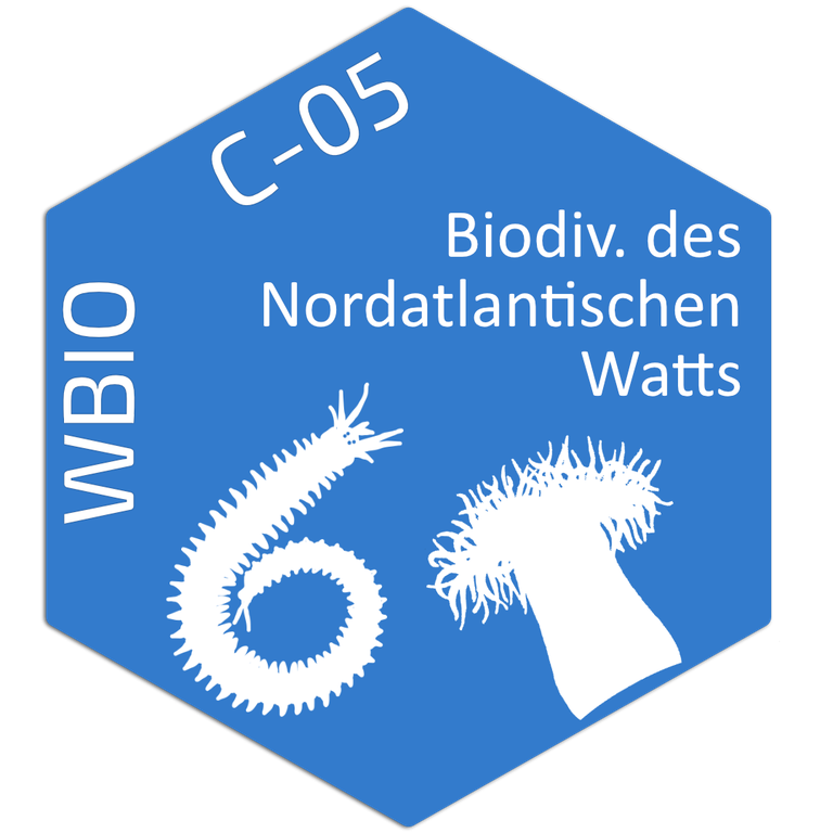 Tile_WBio-C-05.png