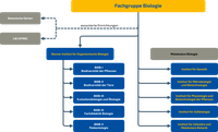 Organisationsstruktur_FGBiol