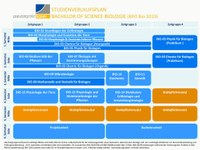 Studienverlaufsplan Curriculum 2019.pdf