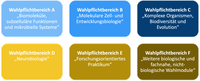 Wahlpflichtbereich.png