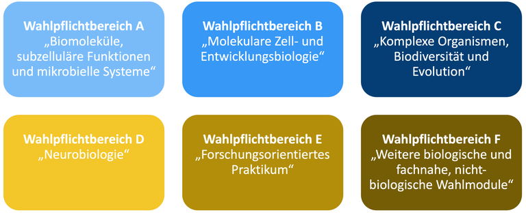 Wahlpflichtbereich.png