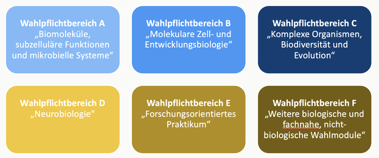 Wahlpflichtbereich BSc