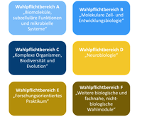 Wahlpflichtbereich_hochkant.png