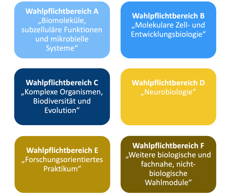 Wahlpflichtbereich_hochkant.png