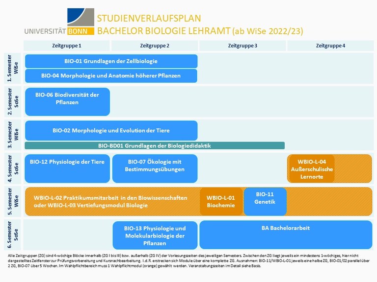 Studienverlauf_lehramt_bachelor.png