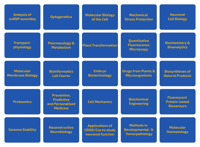 MolCellBiol_Electives